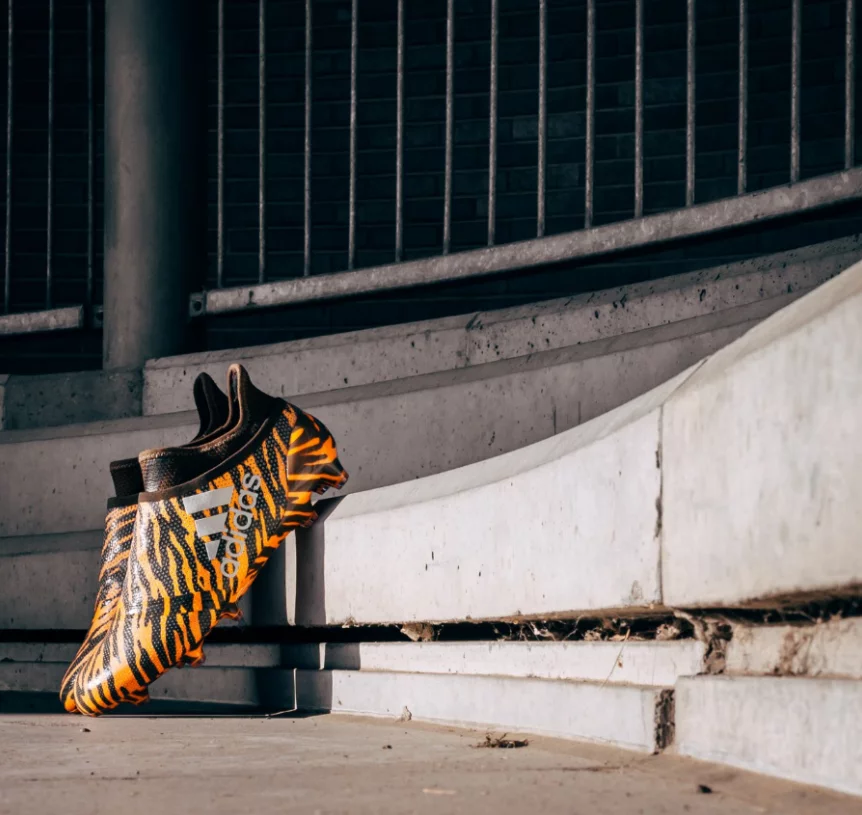 post card image (4).webp